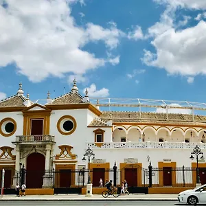 Santas Patronas Street Center Seville